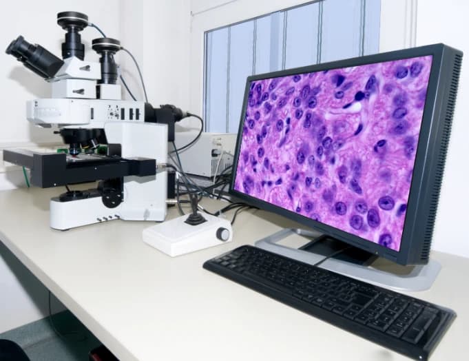Pathology with Dr.G